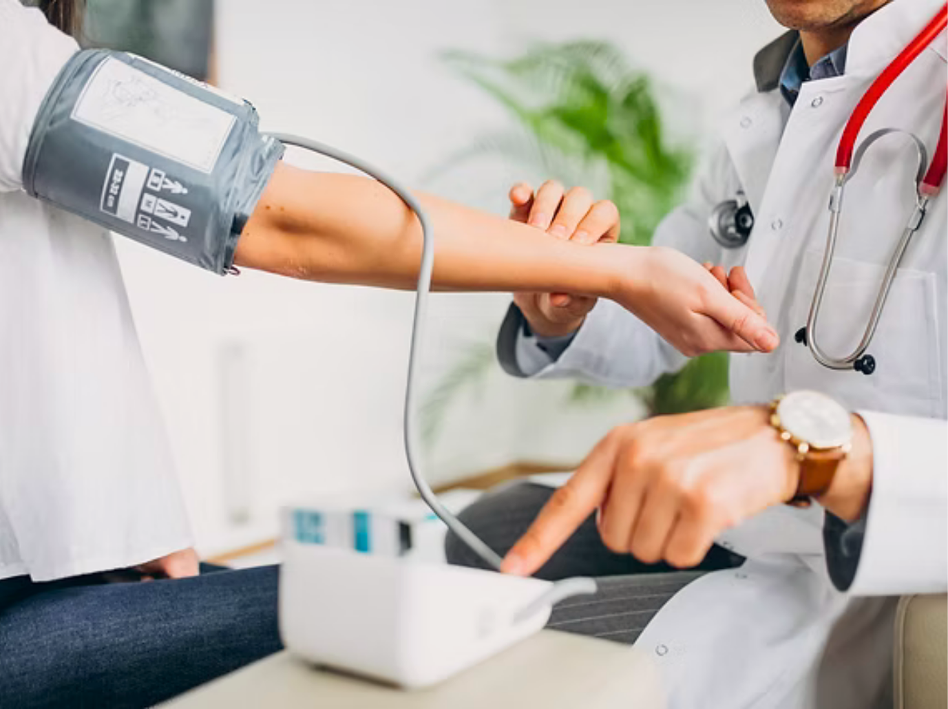 Untitled design (41)