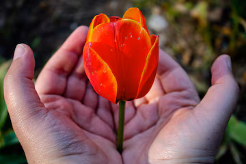 Scopri di più sull'articolo Tornare a fiorire: e se il tempo fosse la vera cura?